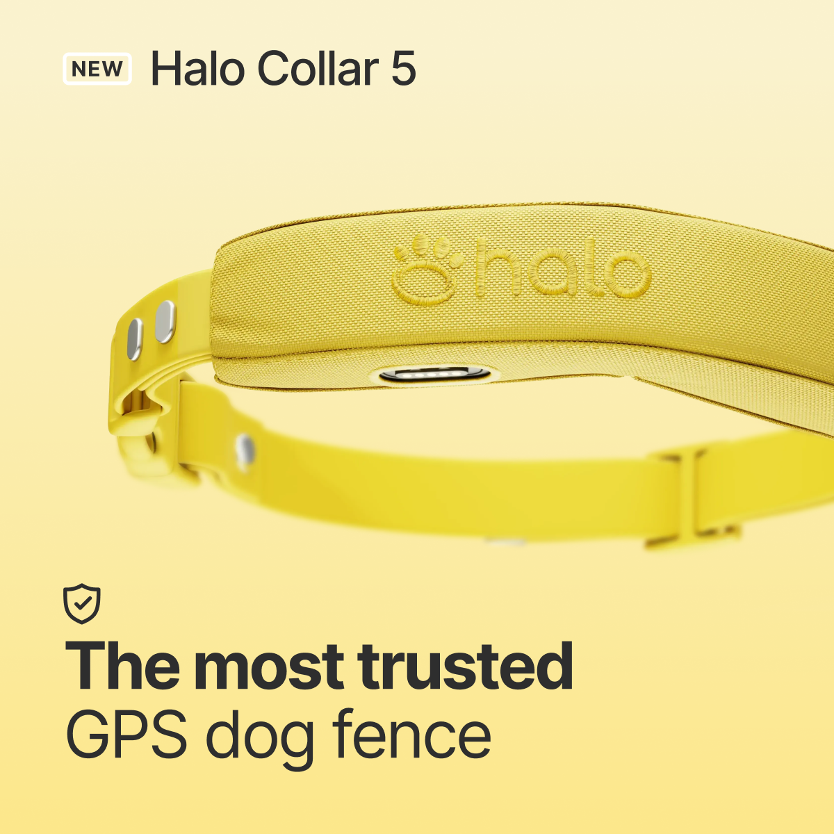 Halo Collar Facebook ad