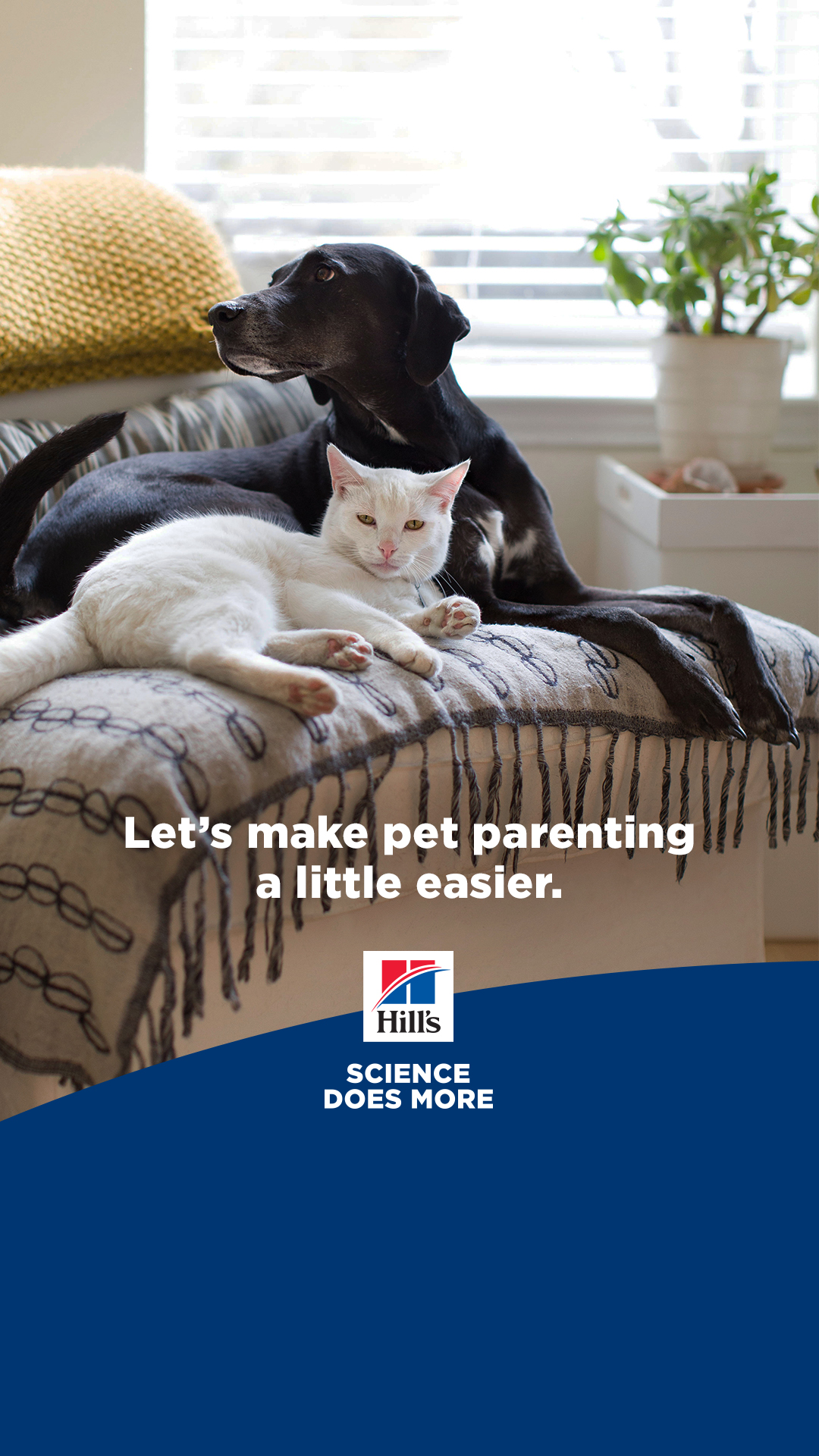 Hill’s Pet Nutrition Facebook ad