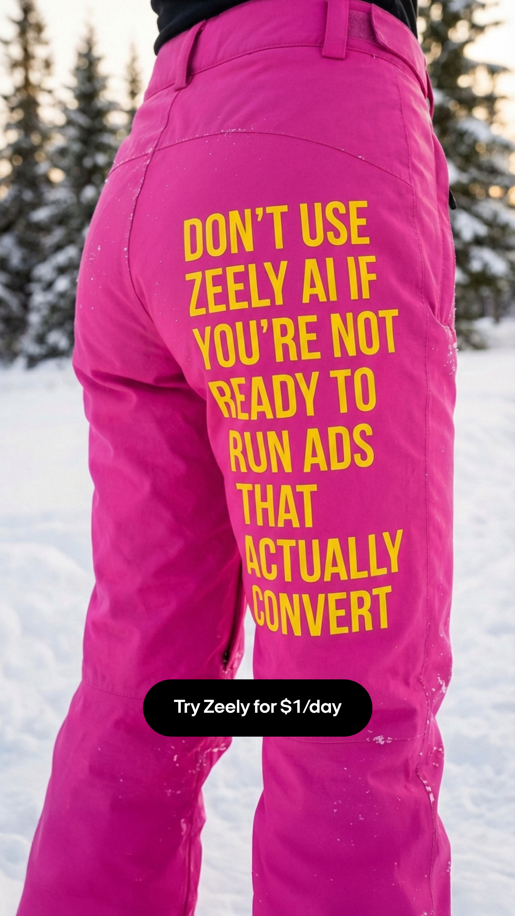 Zeely Facebook ad