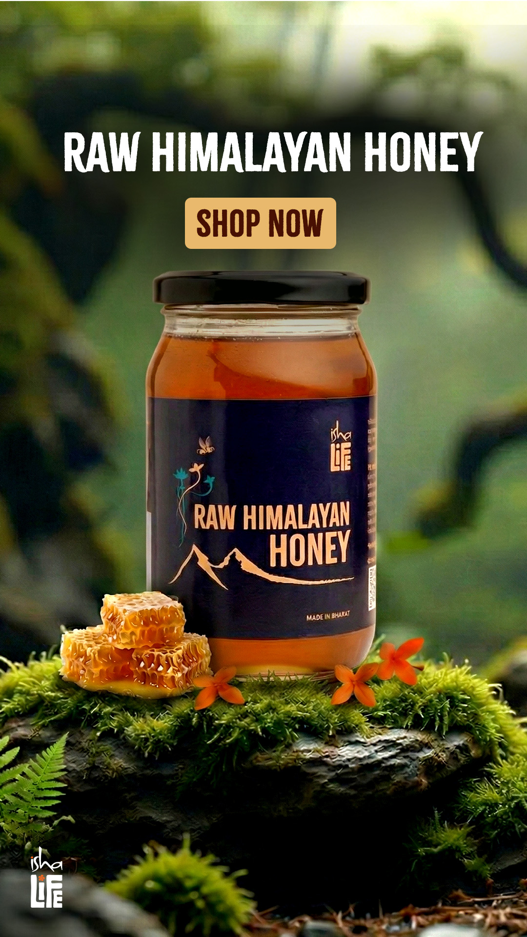Isha Life Facebook ad