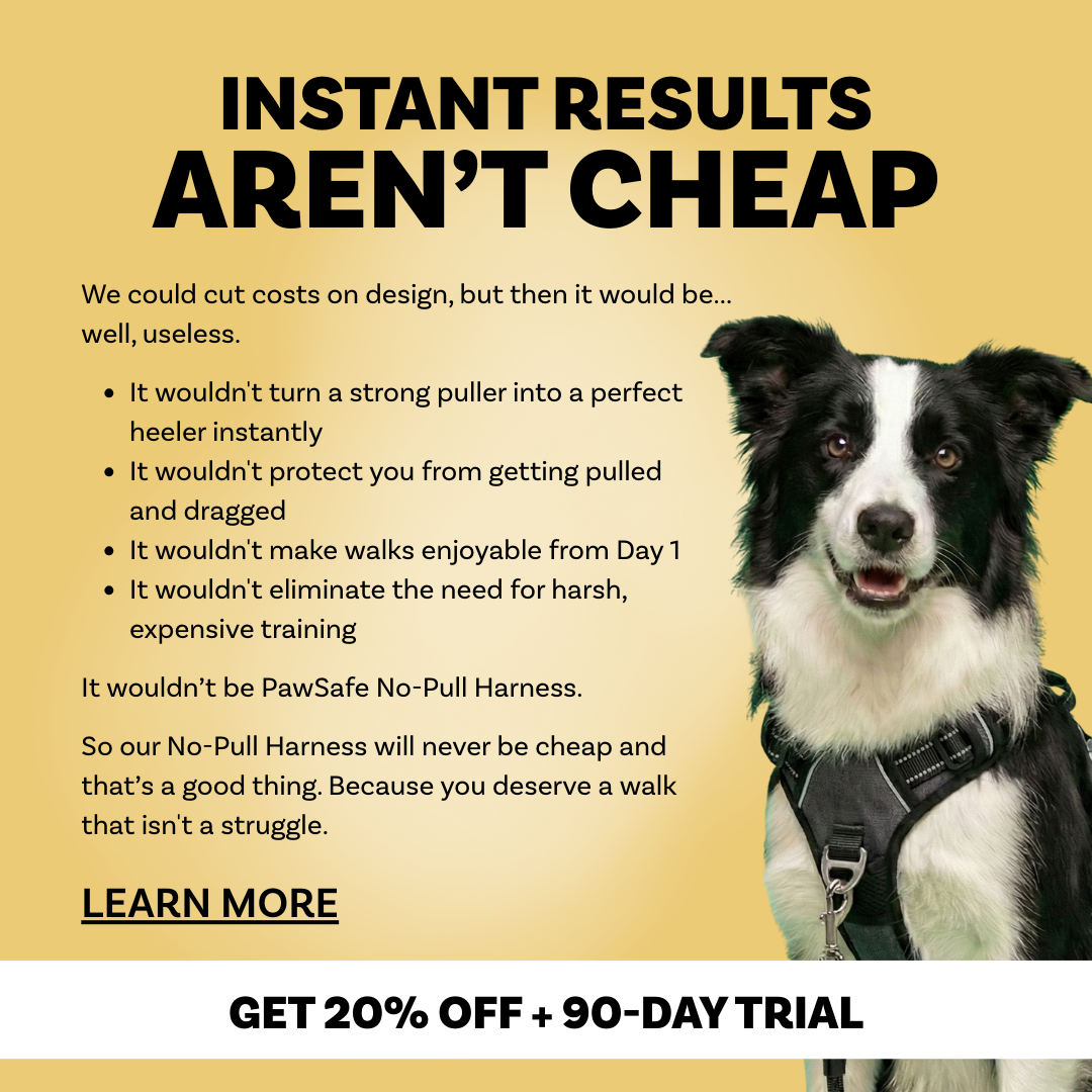 PawSafe Facebook ad