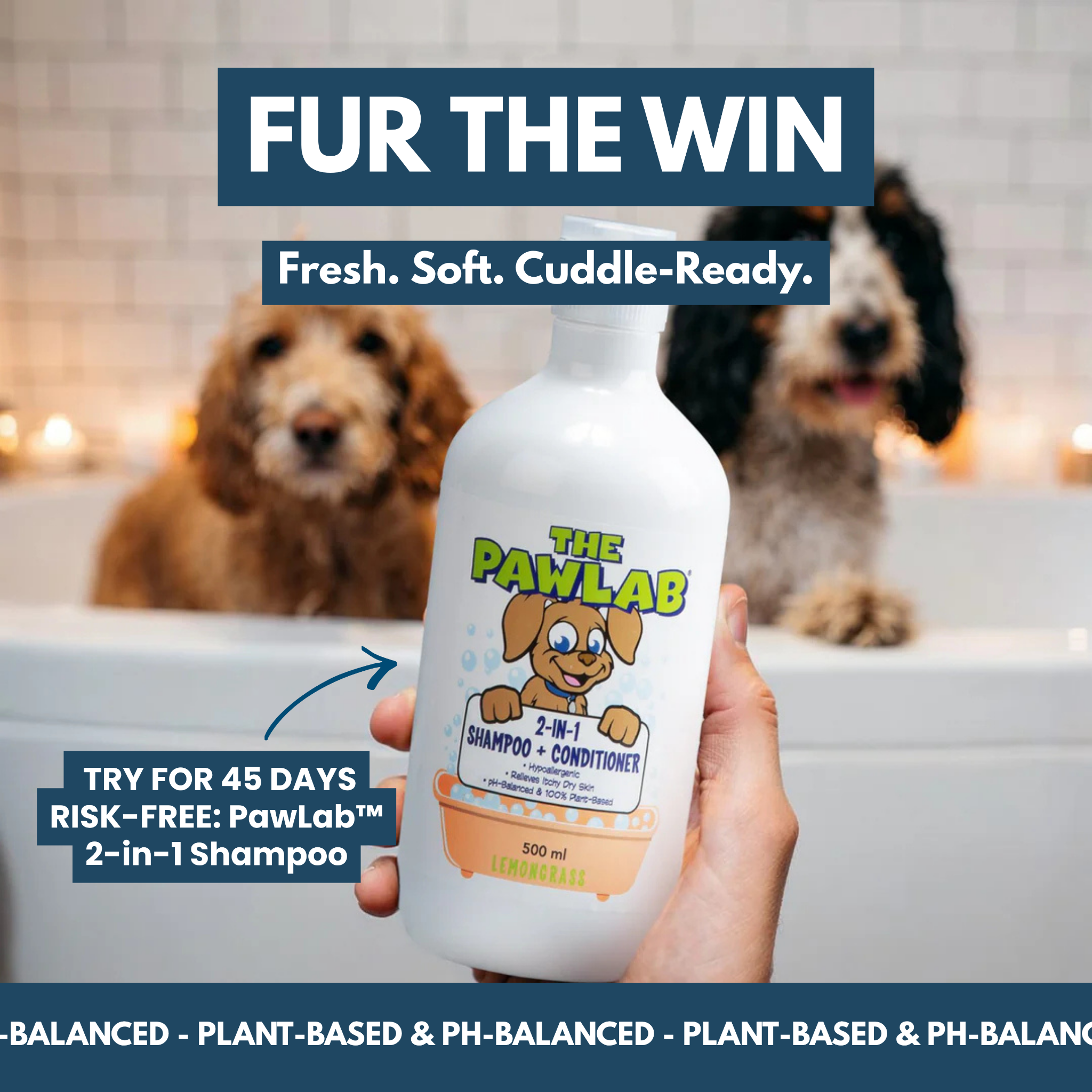 Pawlab Facebook ad