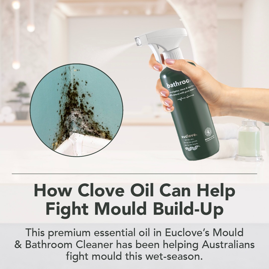 Euclove Clean Facebook ad