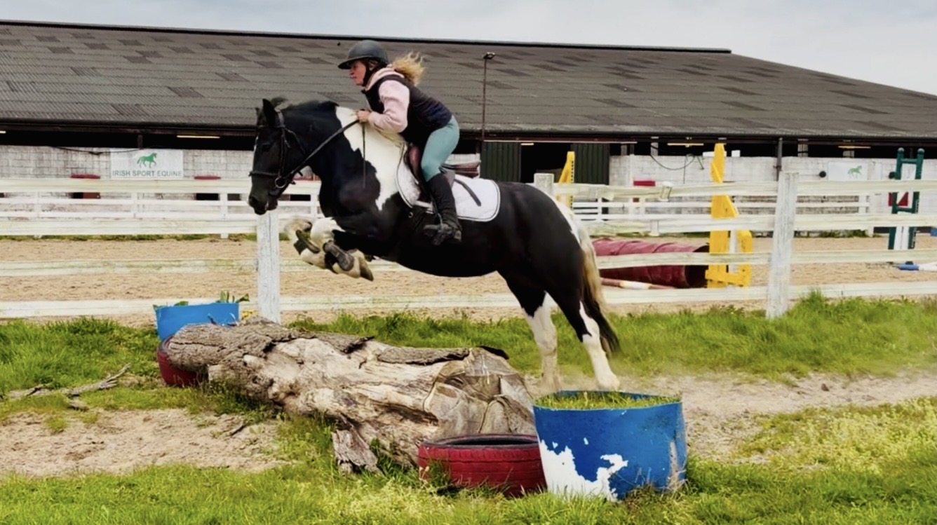 Irish Sport Equine Facebook ad
