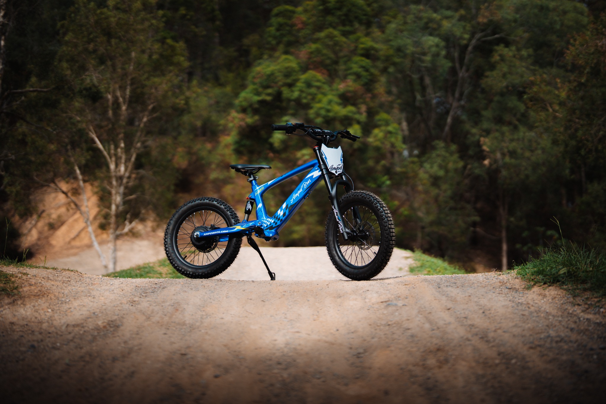 Ampd Bros Electric Bikes Facebook ad