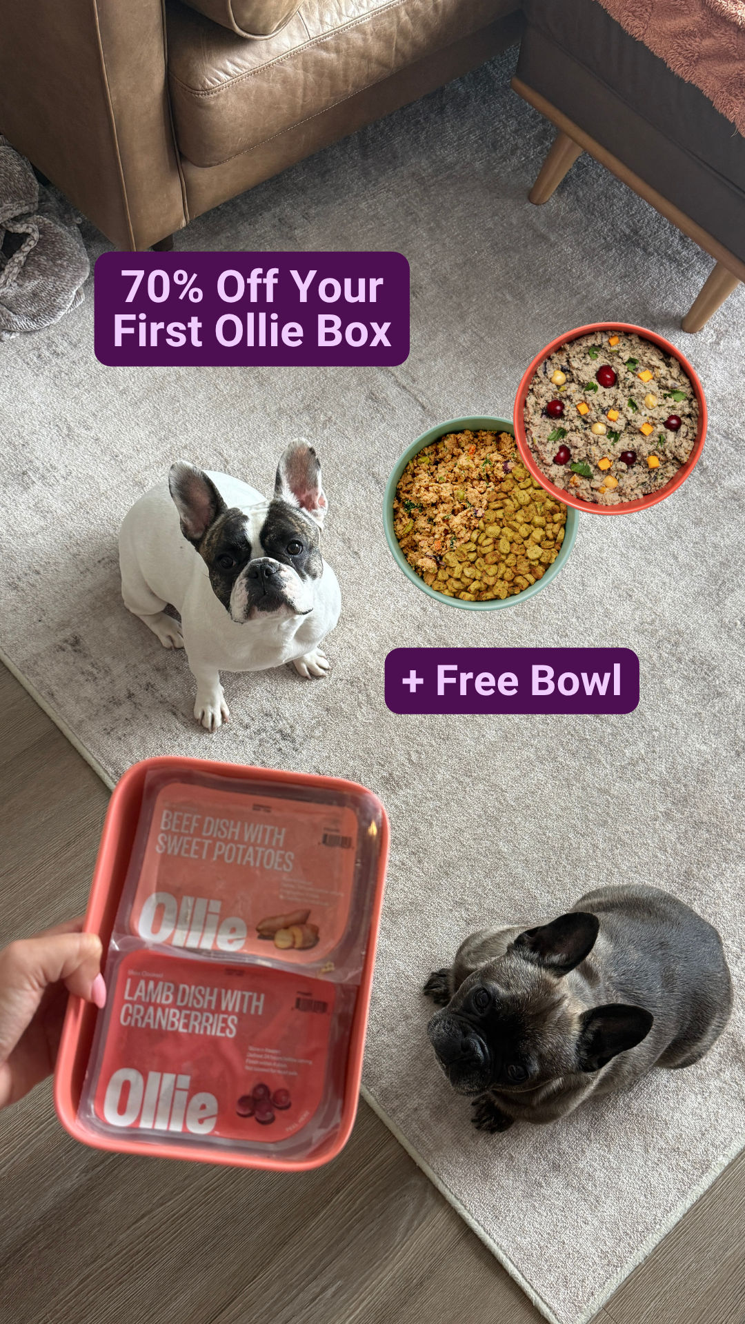 Juniper- The best online community for dog parents Facebook ad