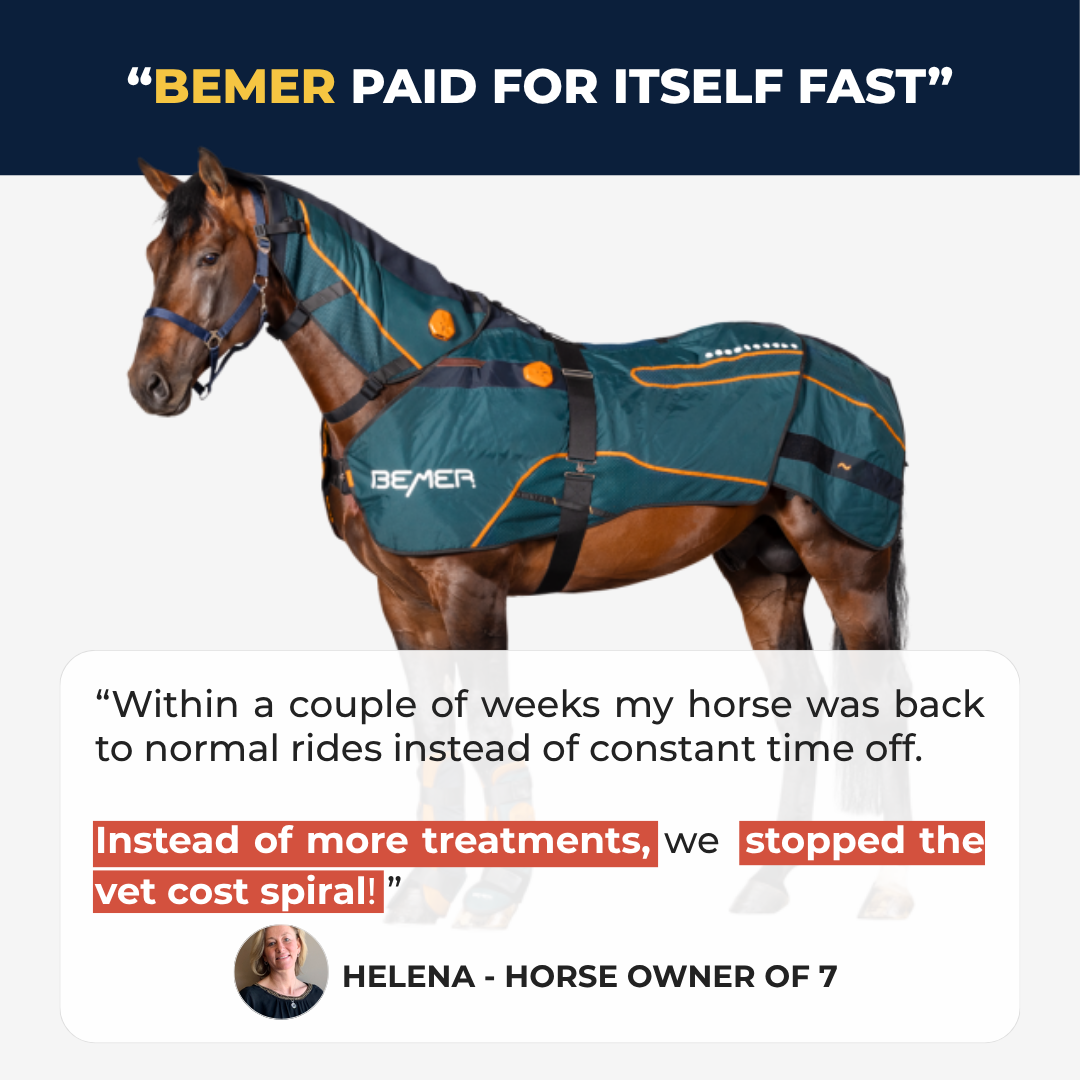 Boost Horse Circulation Facebook ad