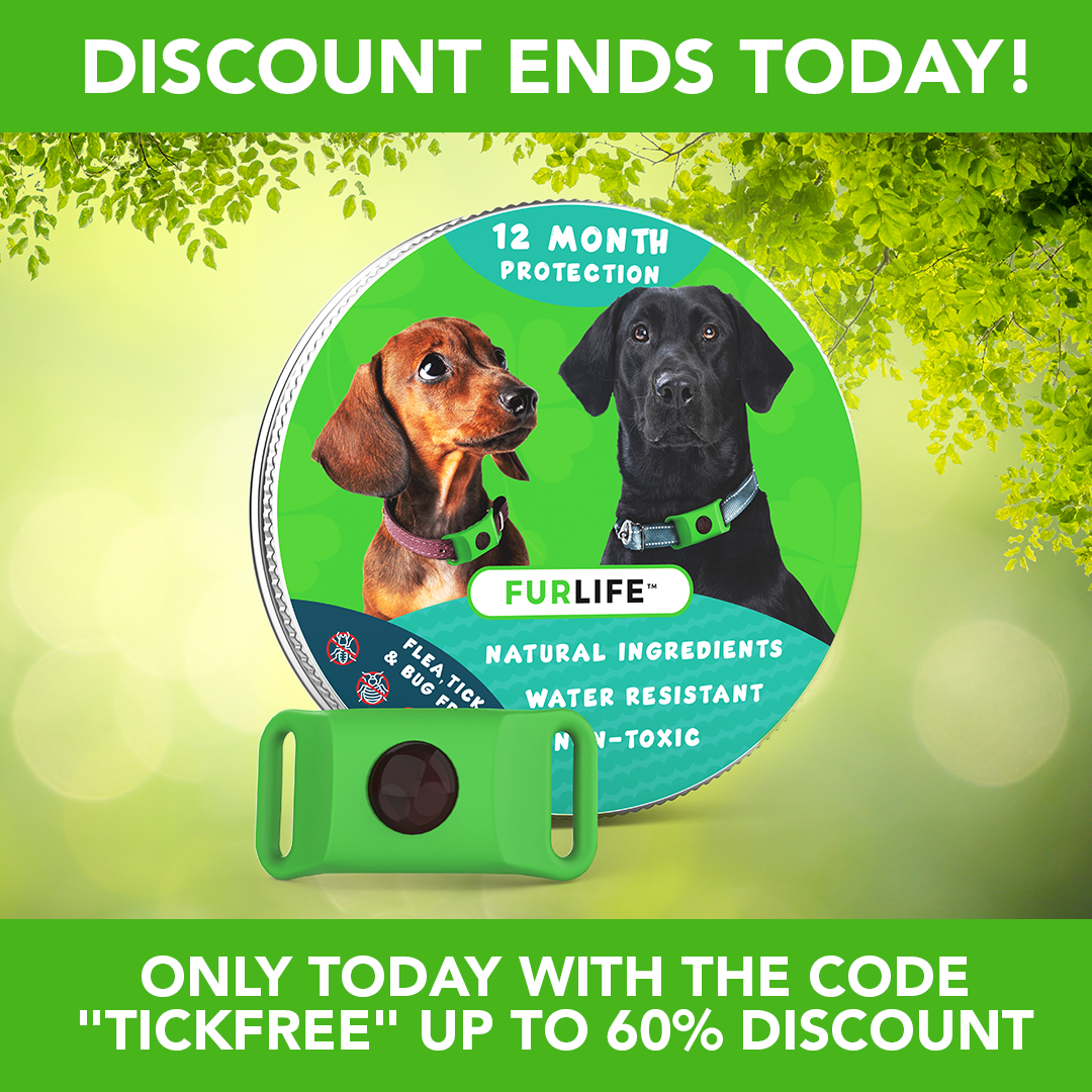 FurLife Facebook ad
