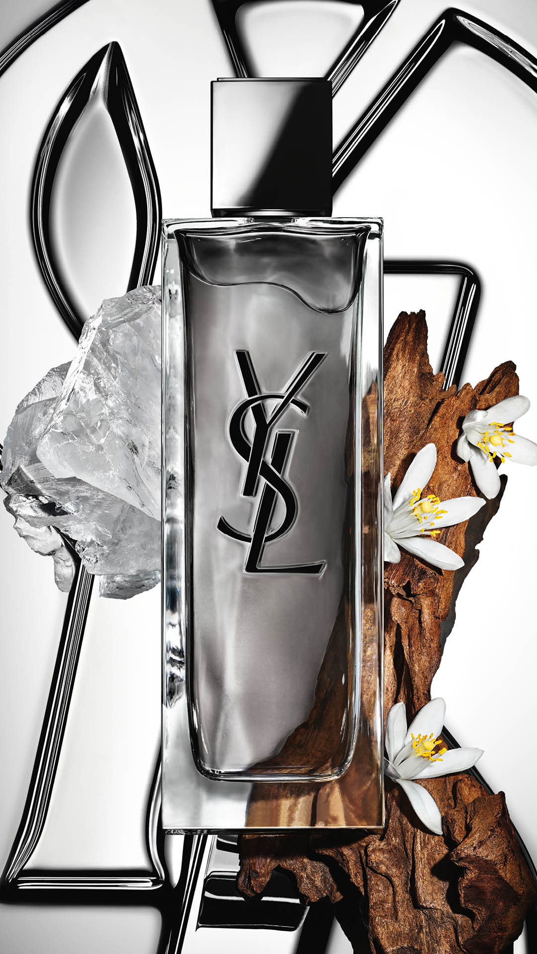 YSL Beauty Facebook ad