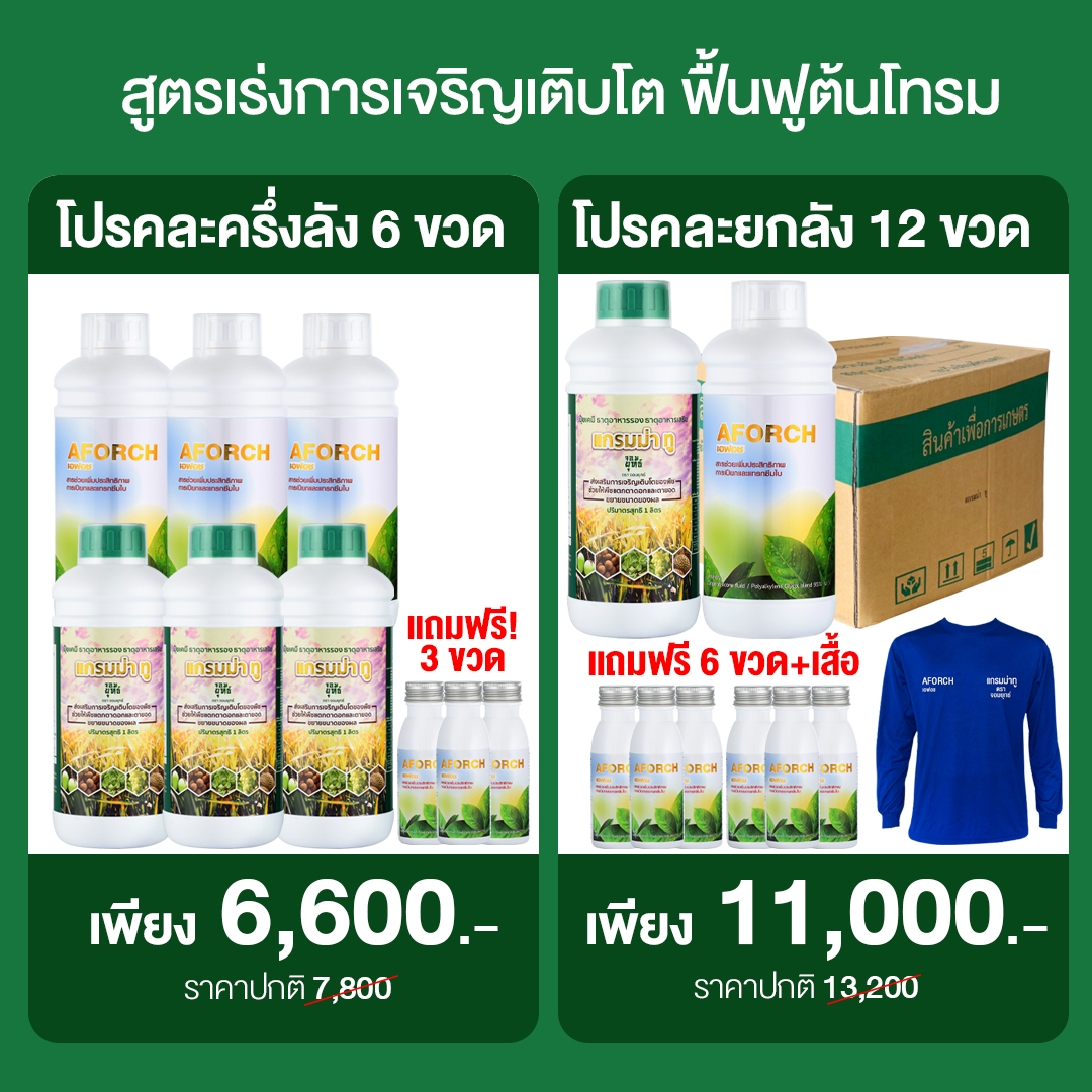 ปุ๋ยน้ำแกรมม่าทู เอฟอช - เพจบริษัท Facebook ad: สั่งซื้อโปรนี้ โทร: 082-989-9111