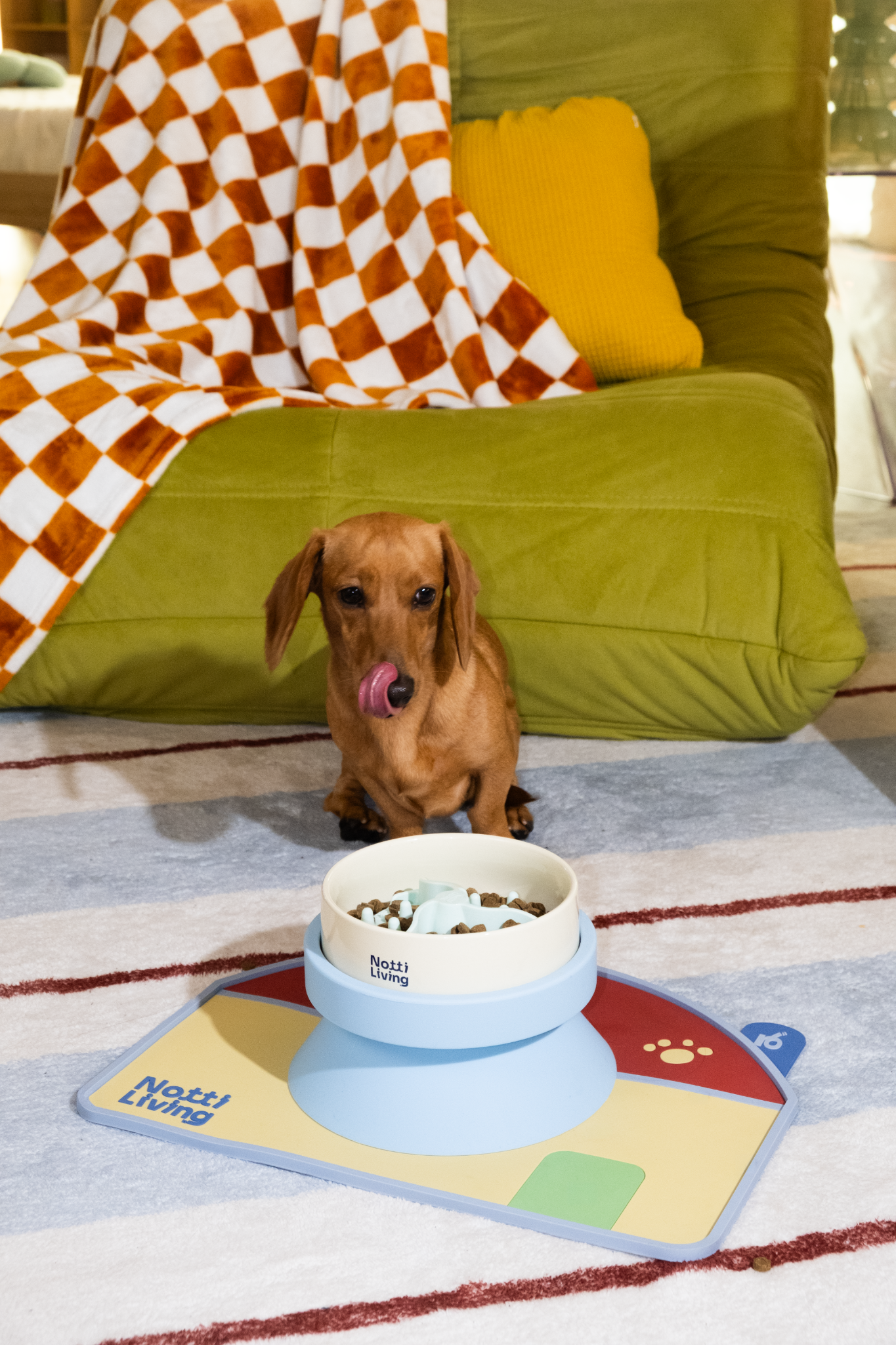 Notti Pet Food Facebook ad