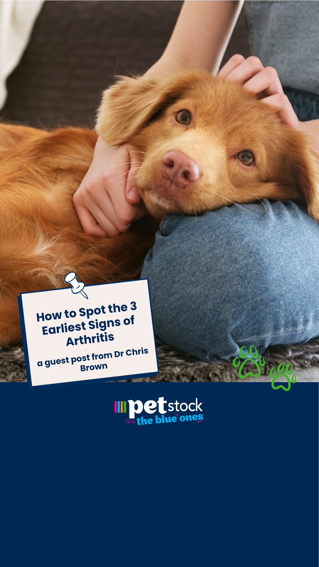 Petstock Facebook ad