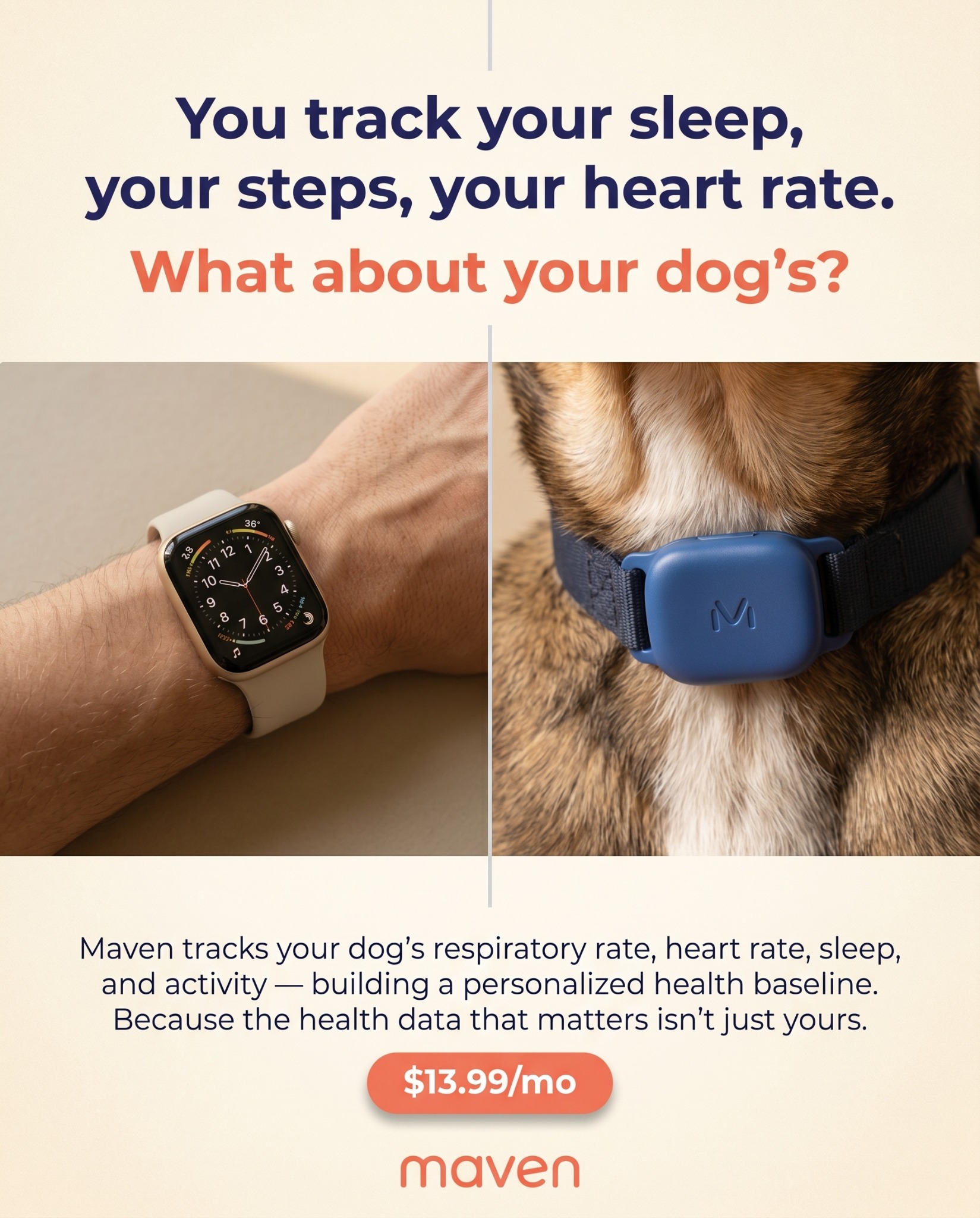 Maven Pet Facebook ad