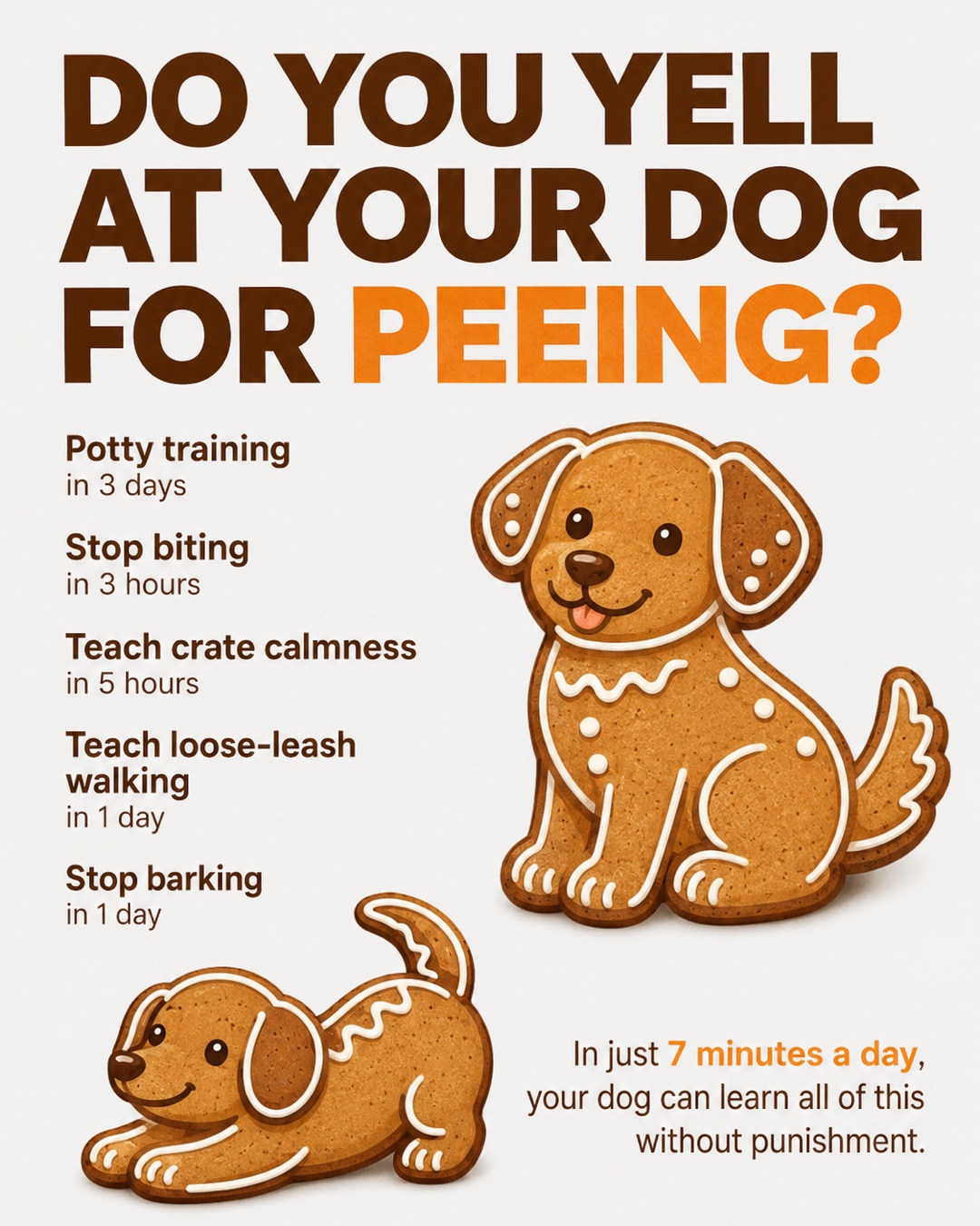Ben Your Puppy Trainer Facebook ad