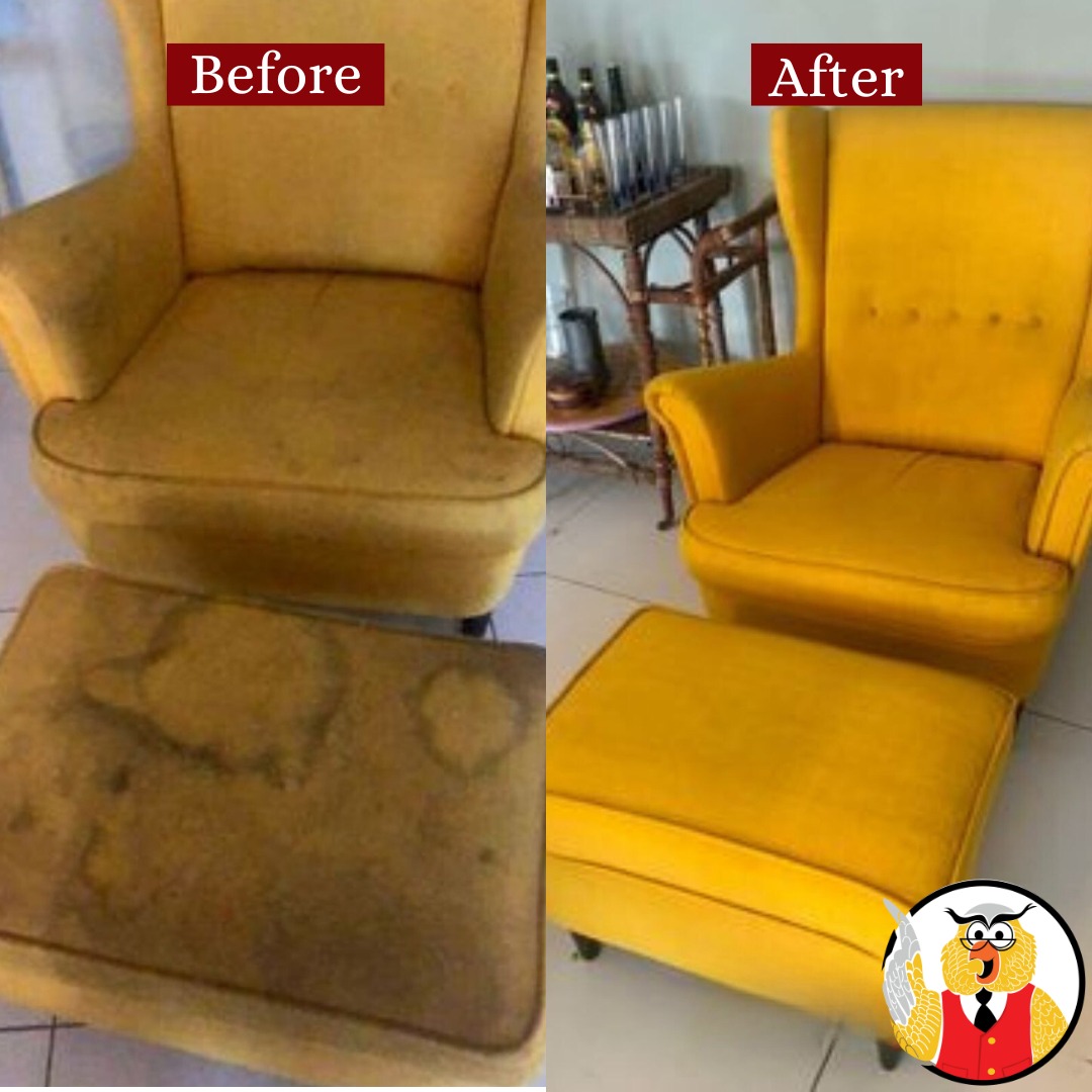 Who Who Carpet Cleaning & Pest Management Facebook ad
