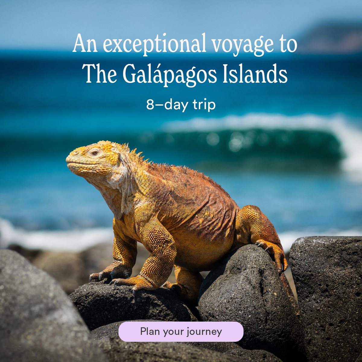Jacada Travel Facebook ad