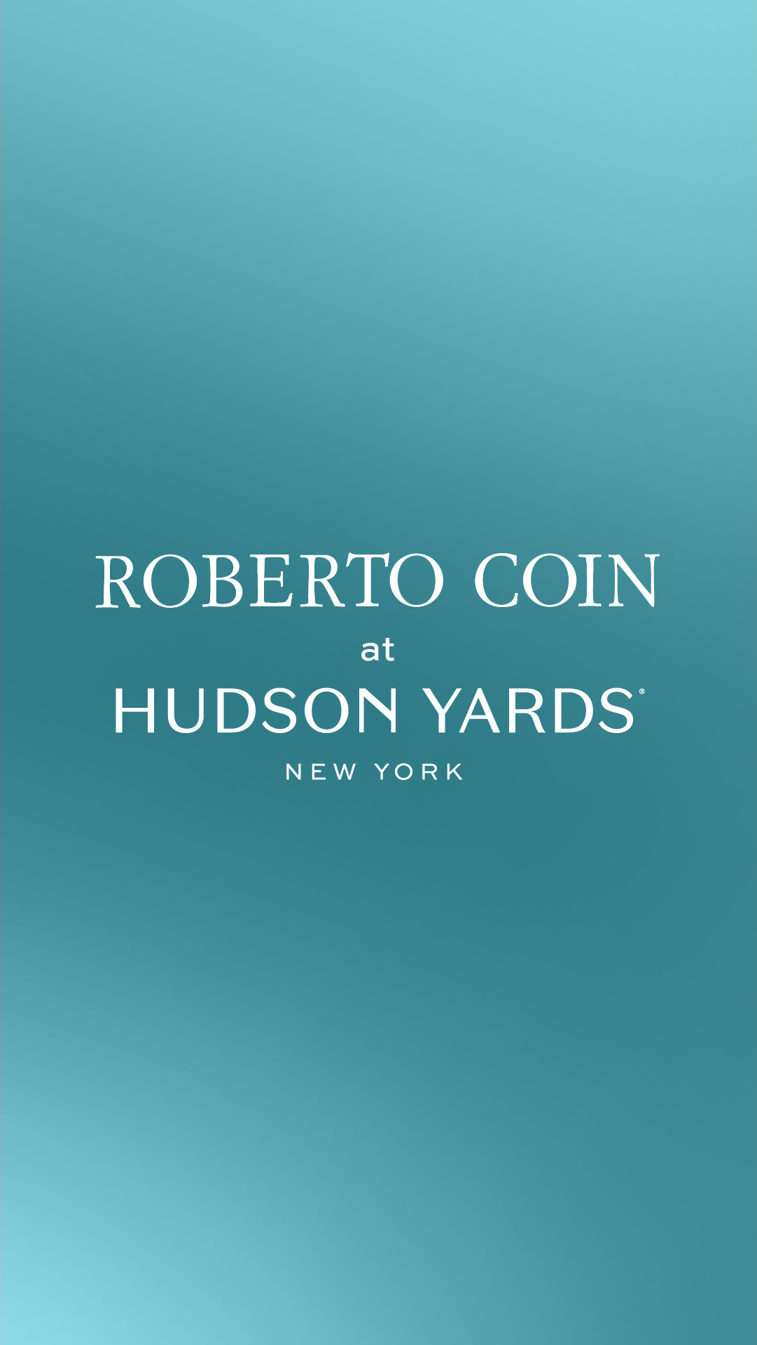 Hudson Yards New York Facebook ad