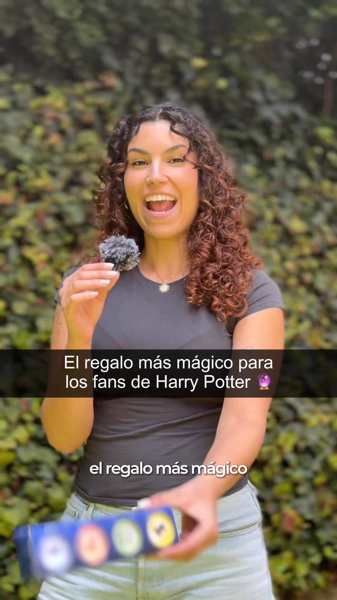 Mirum Facebook ad: Regalo Perfecto Para los Fans de Harry Potter