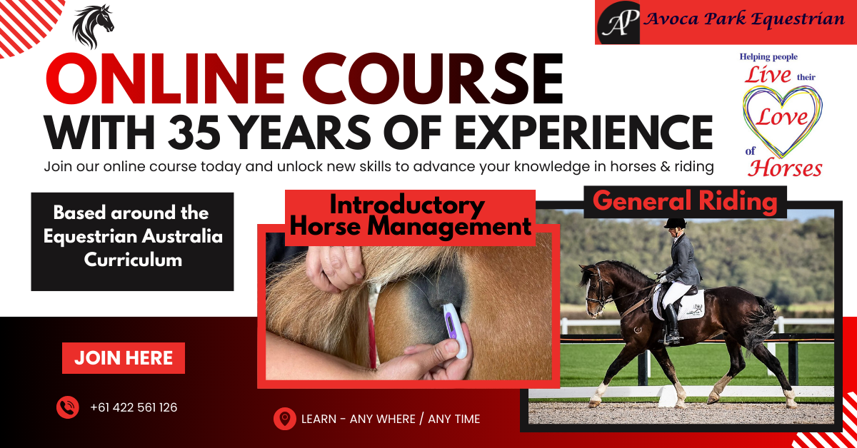Avoca Park Equestrian Facebook ad: From Unsure to Confident