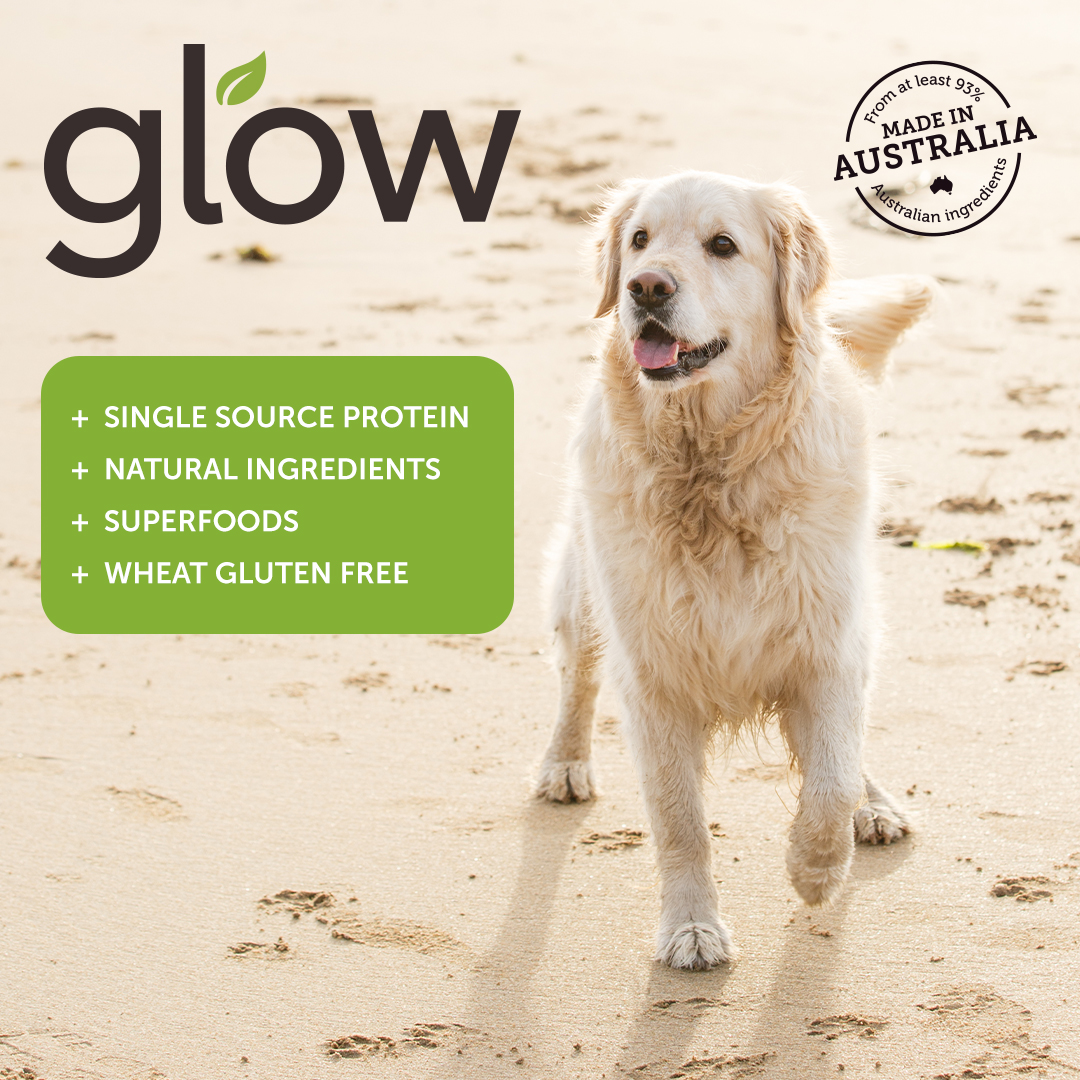 Petstock Facebook ad