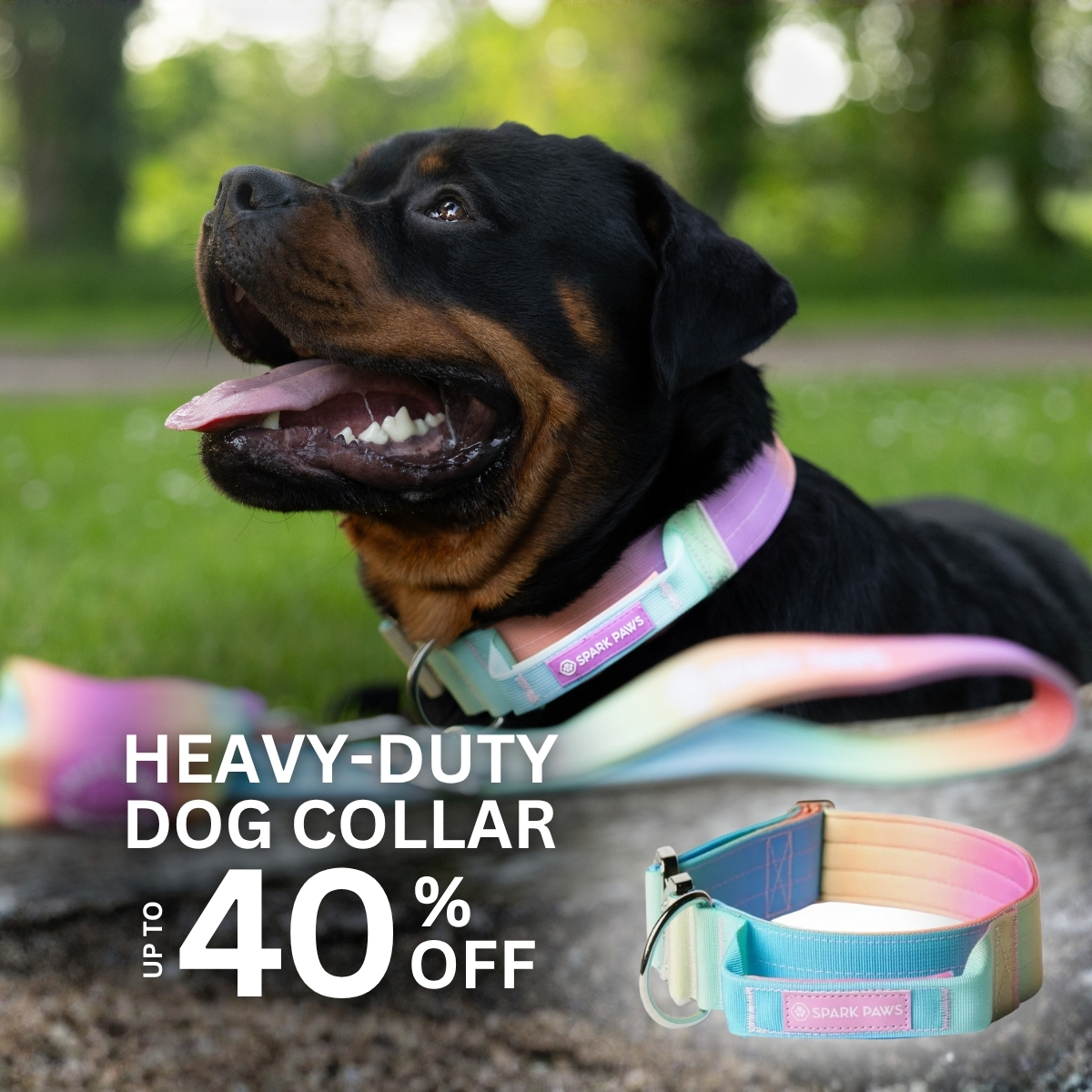 Spark Paws Facebook ad