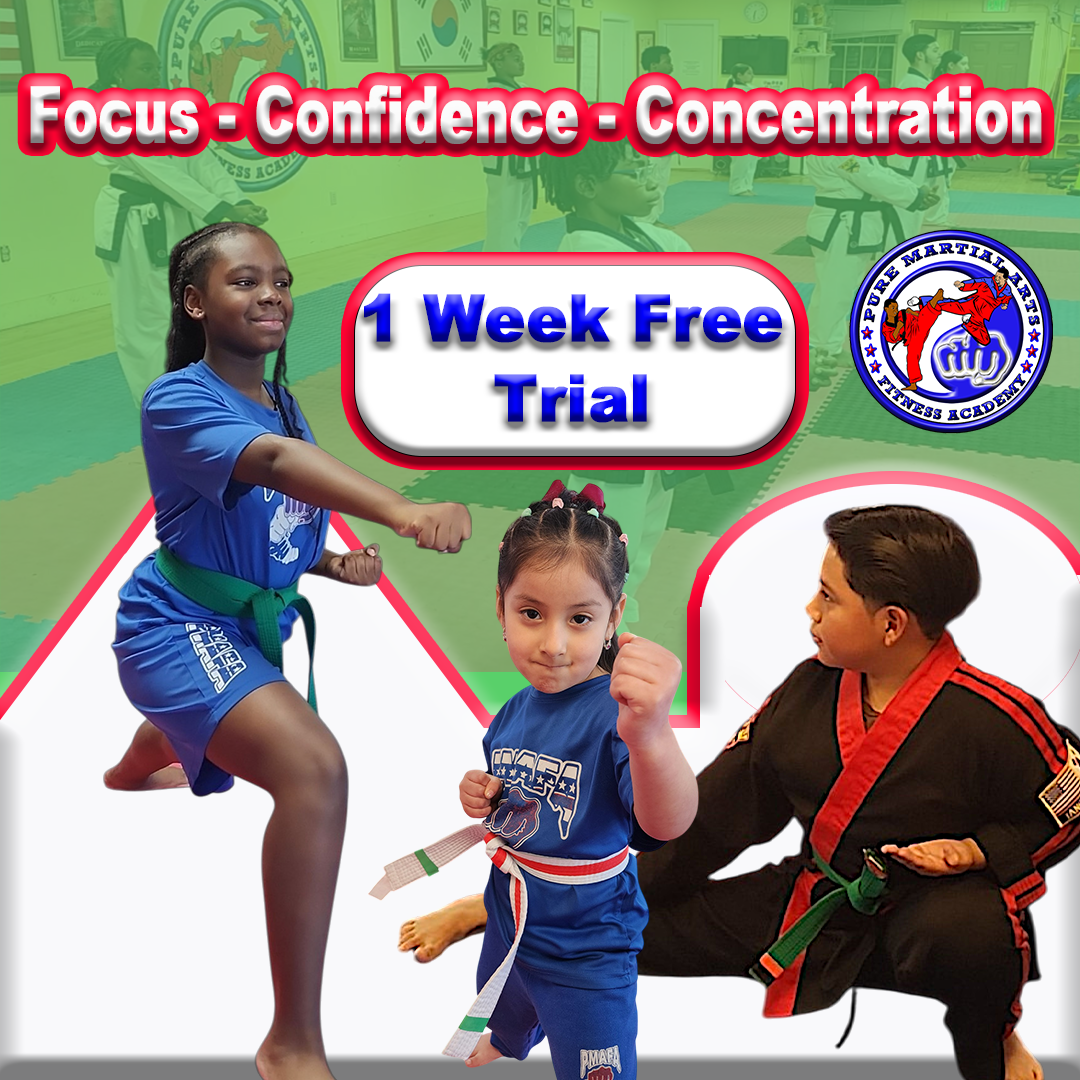 Pure Martial Arts Fitness Academy Facebook ad