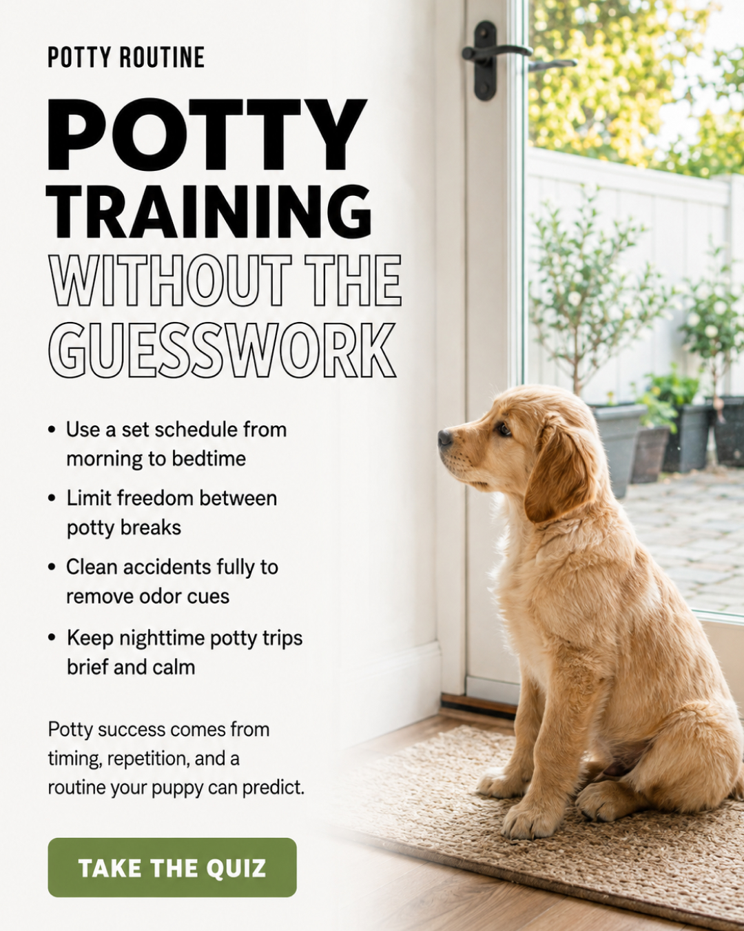 Ben Your Puppy Trainer Facebook ad