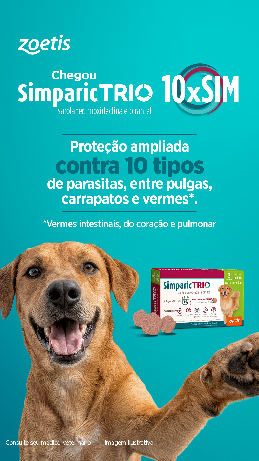 Zoetis Pets Brasil Facebook ad