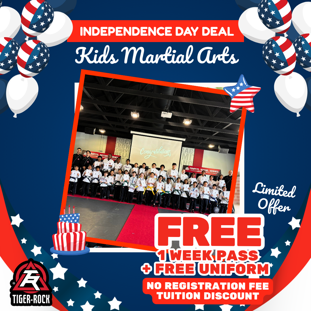 Tiger Rock Martial Arts of Katy South Facebook ad