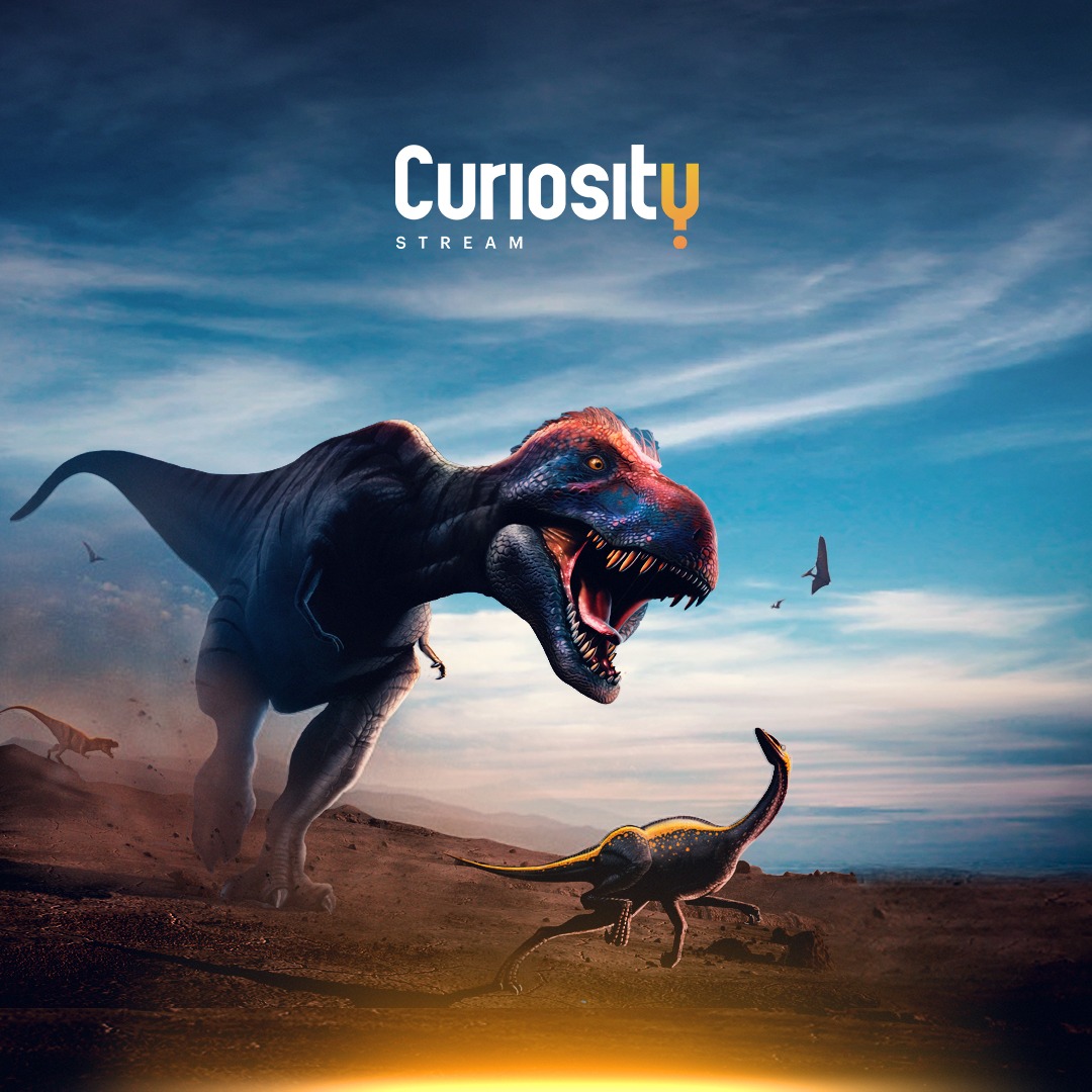 Curiosity Stream Facebook ad