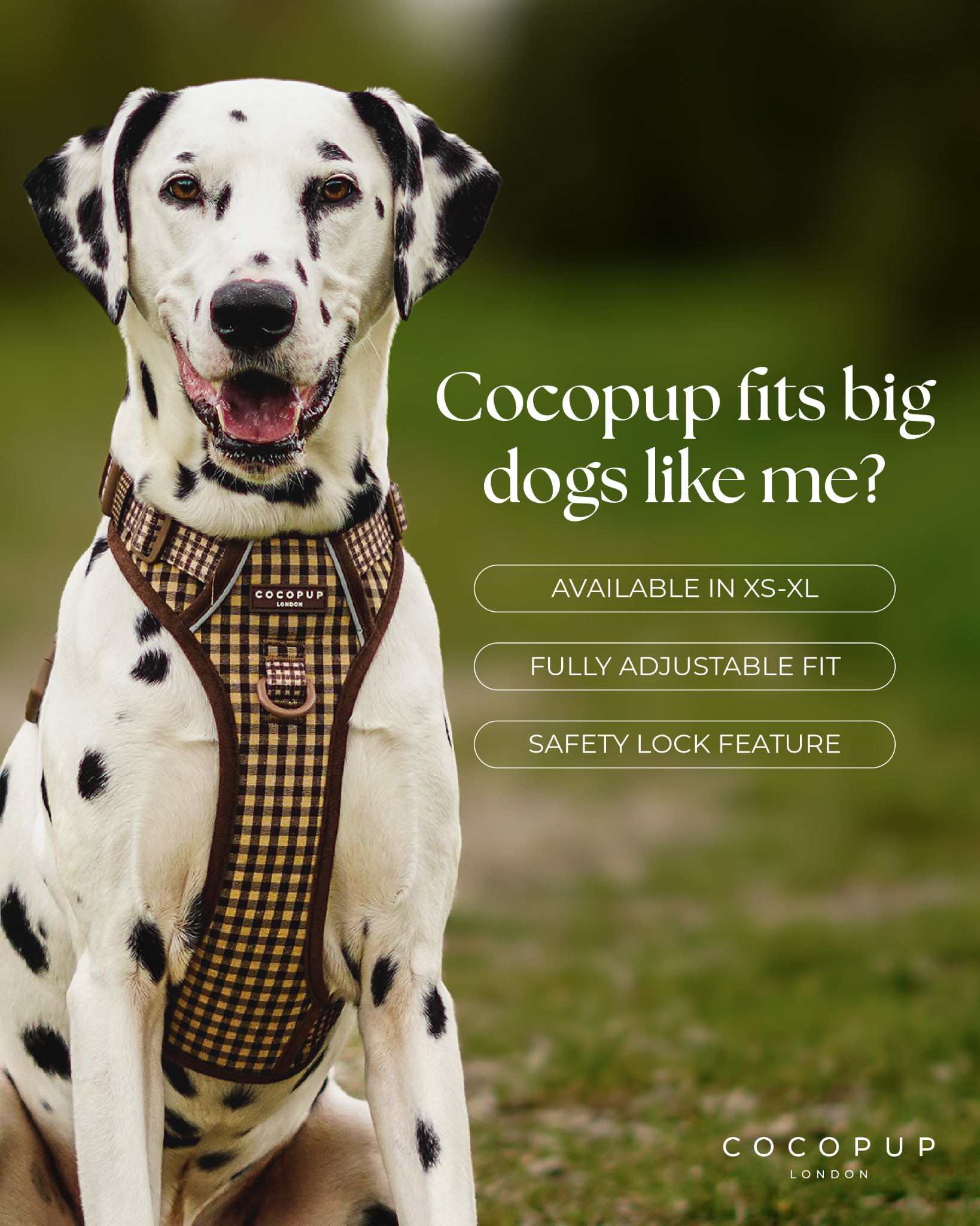 Cocopupuk Facebook ad