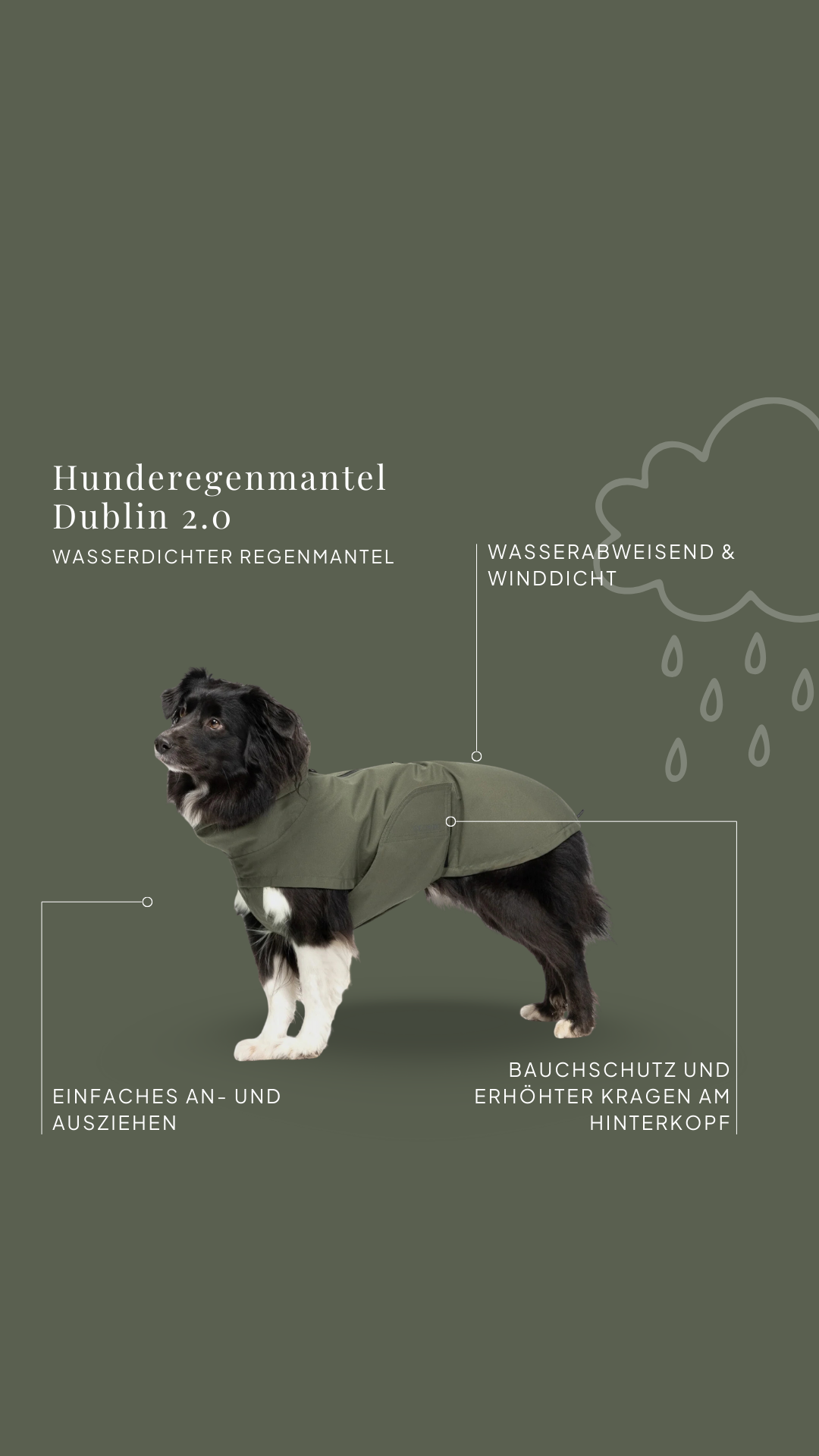 Cloud7 Facebook ad