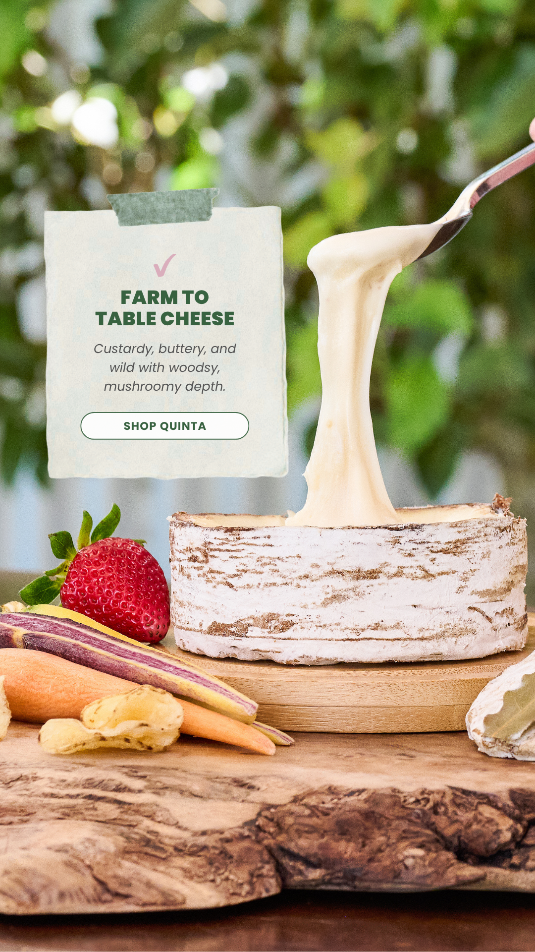 Point Reyes Farmstead Cheese Facebook ad