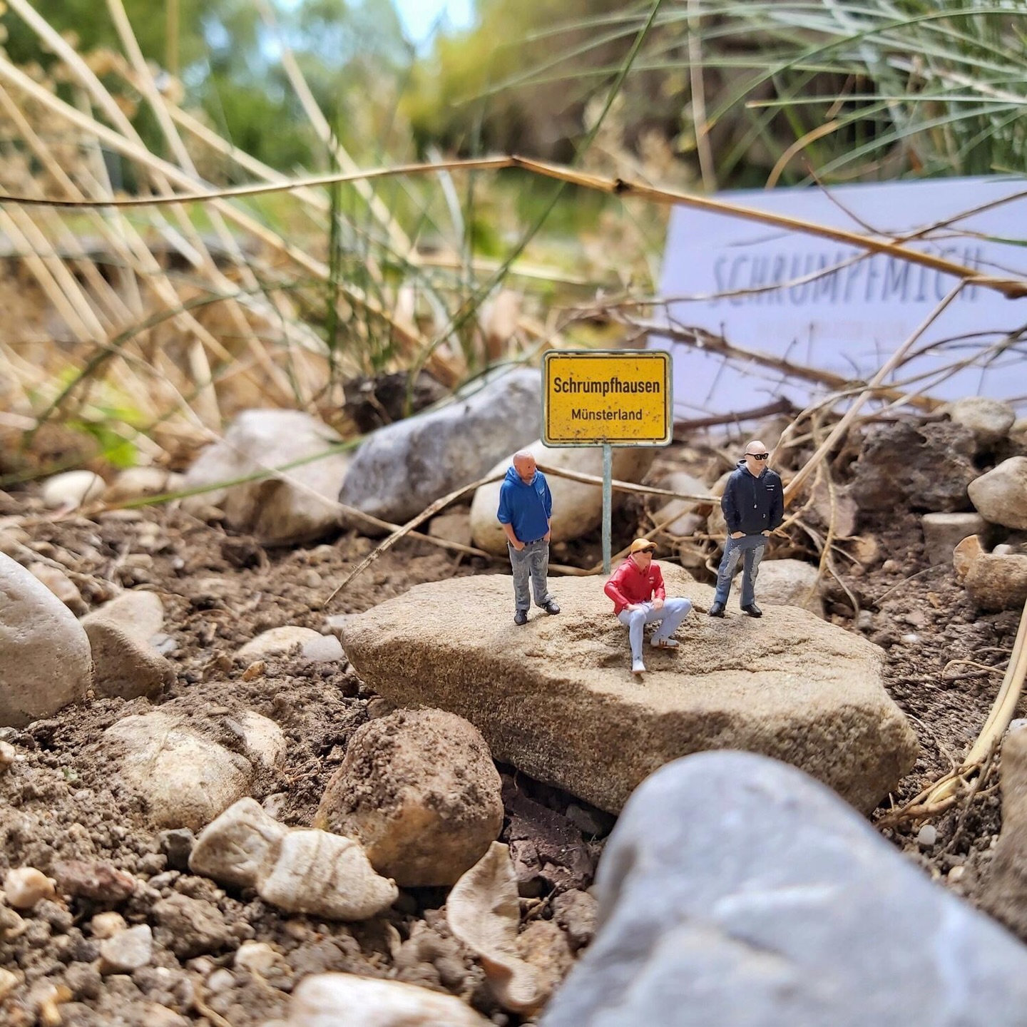 Schrumpfmich.de Facebook ad: Schrumpfmich | Du als 3D Miniaturfigur