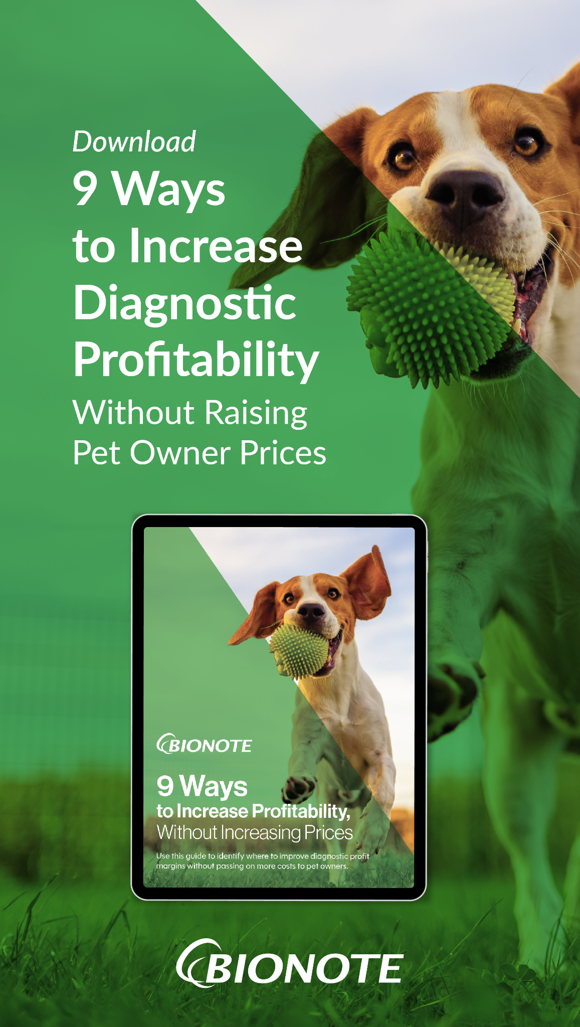 Bionote - USA - Veterinary Diagnostics Facebook ad