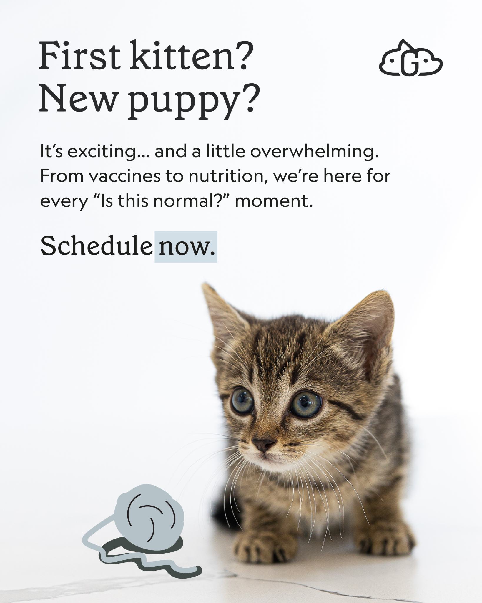 GoodVets Facebook ad