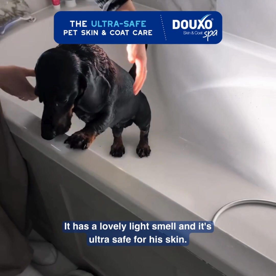 DOUXO Facebook ad from Jun 9, 2026