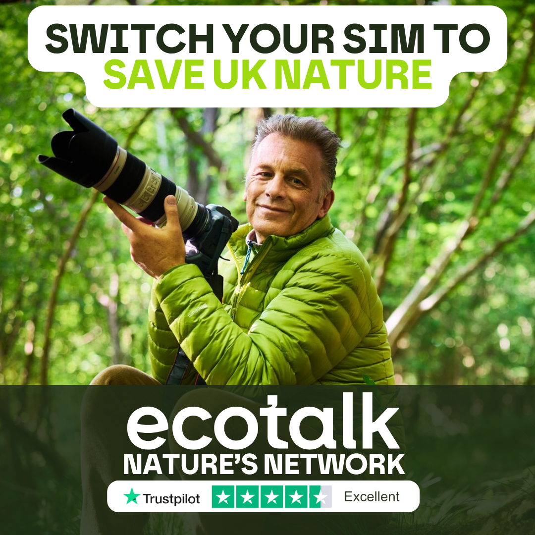 Ecotalk Facebook ad
