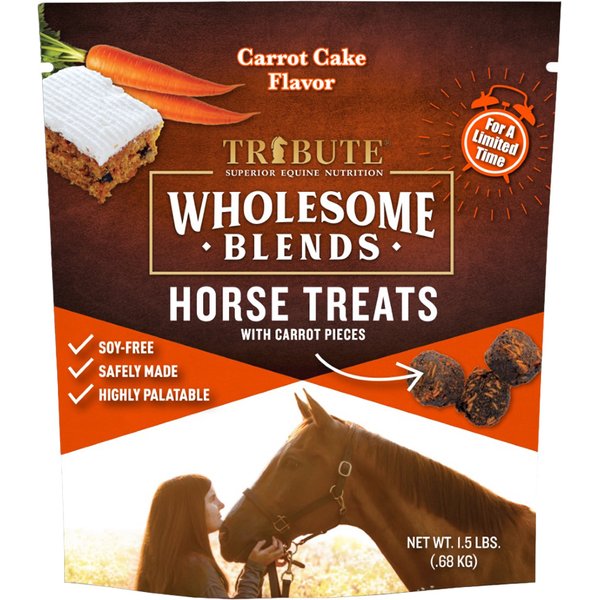 Chewy Facebook ad: Wholesome Blends Horse Treats are made with fruits…