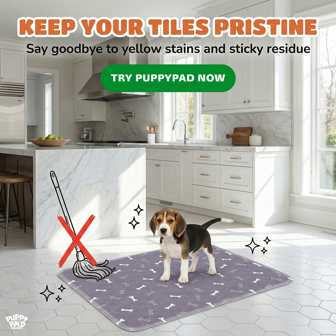 PuppyPad Facebook ad