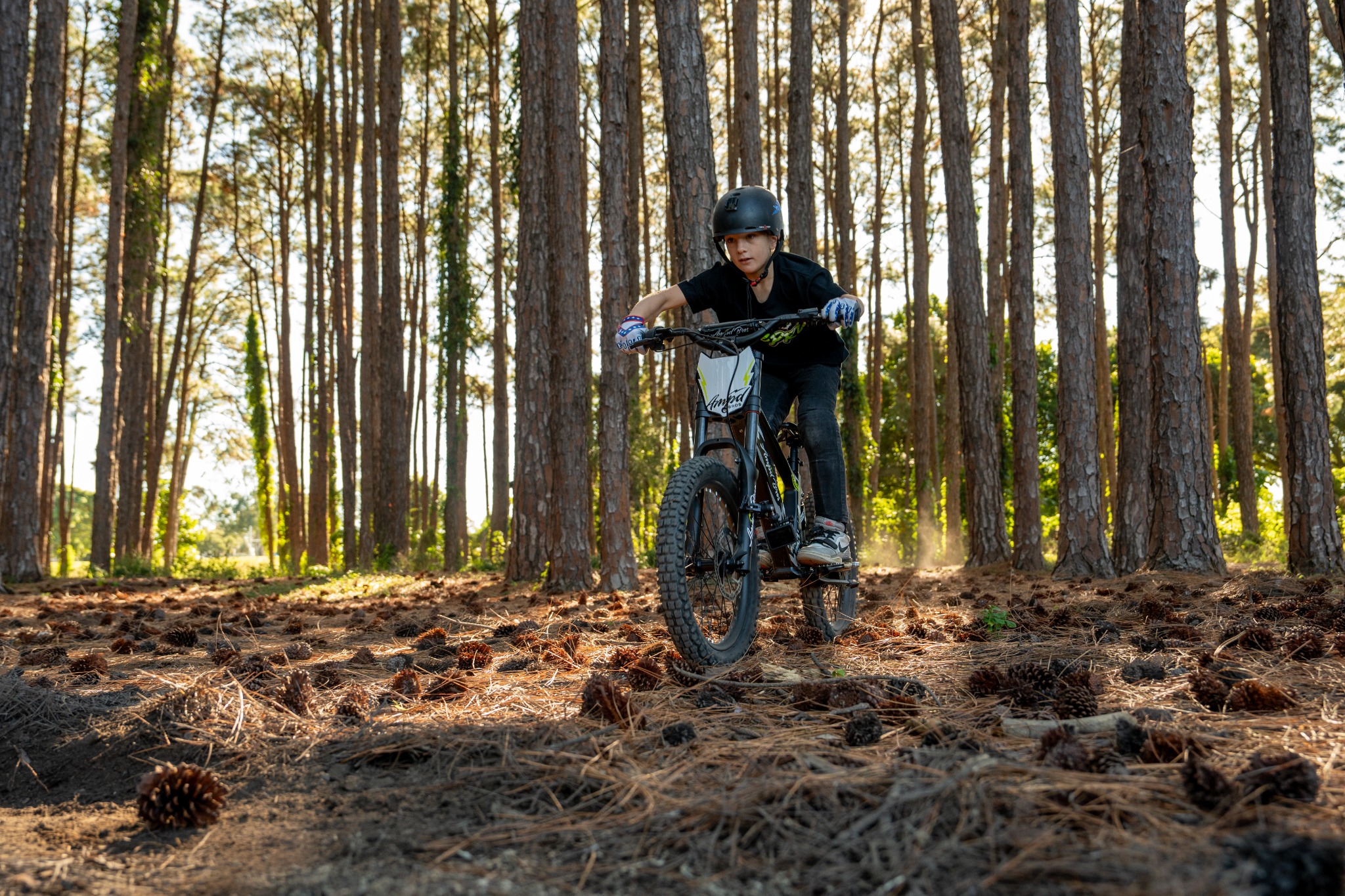 Ampd Bros Electric Bikes Facebook ad