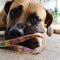 Woofa Pet Products