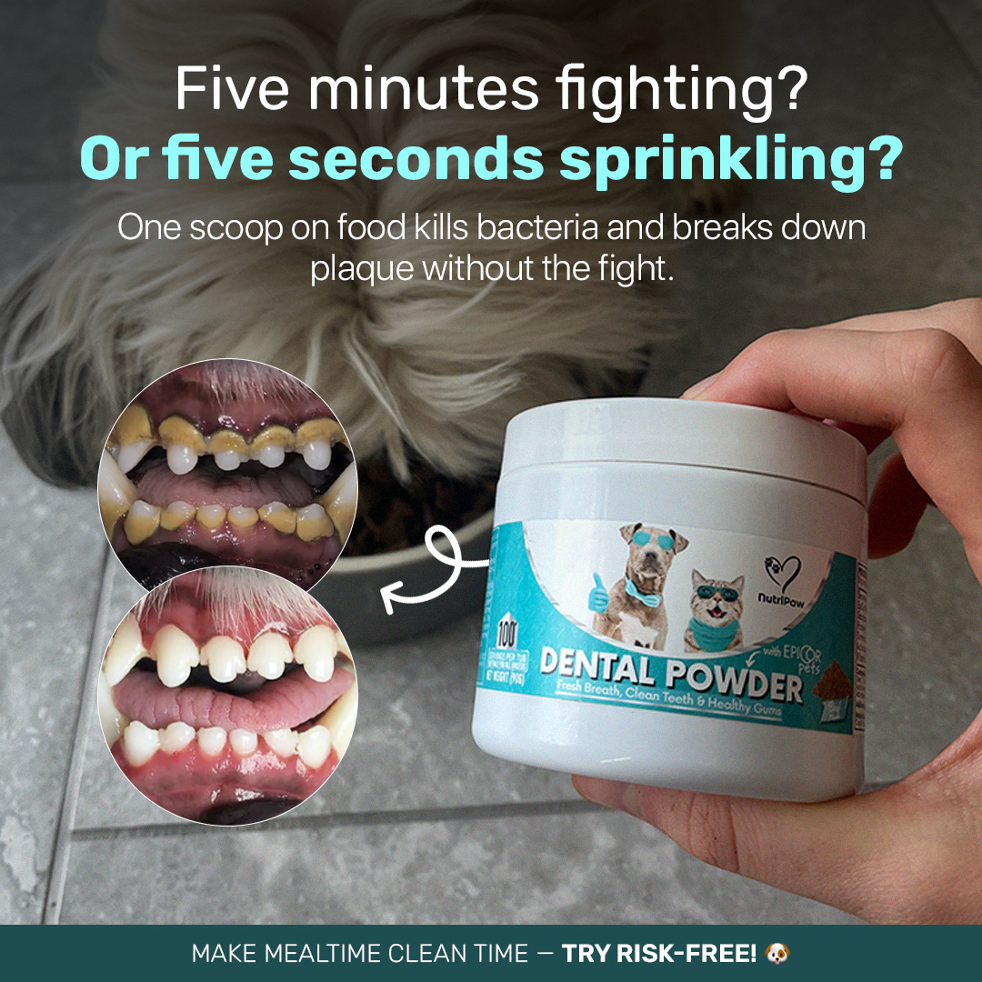Healthy Dog 24/7 Facebook ad