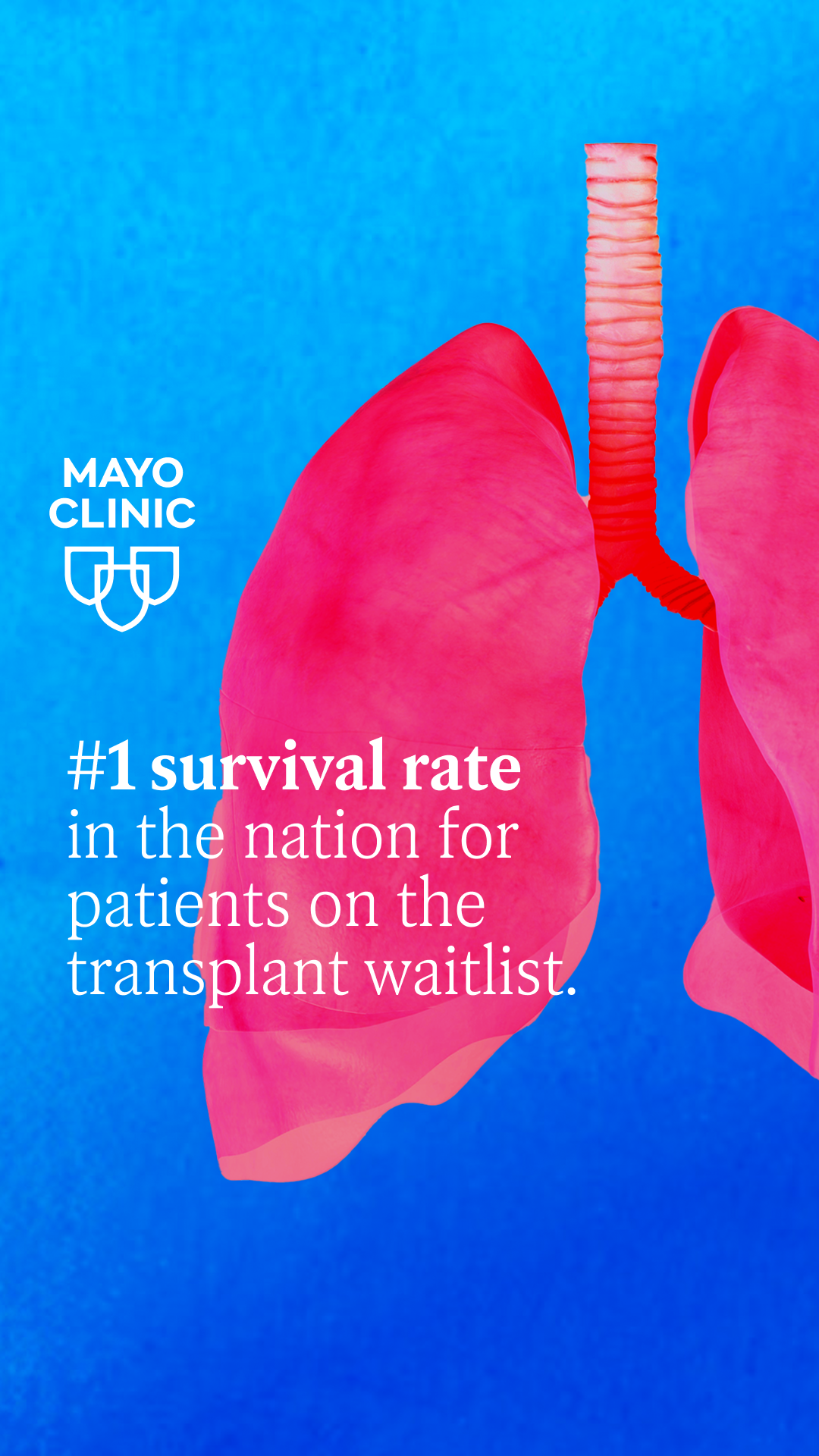 Transplantation at Mayo Clinic Facebook ad