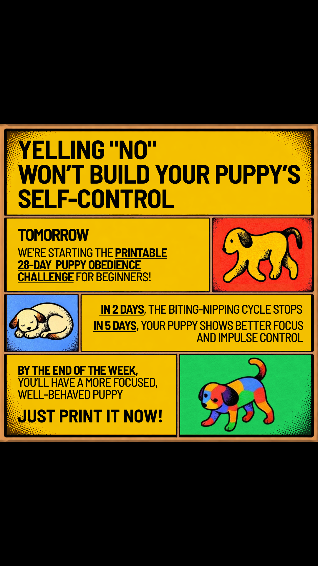 Dog Training & Tips Facebook ad