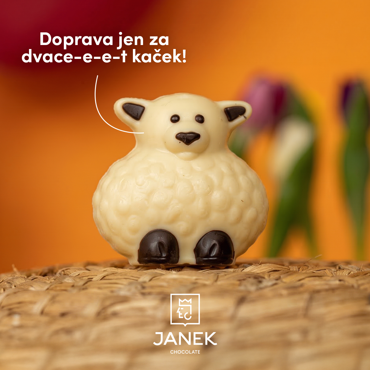 Čokoládovna JANEK Facebook ad