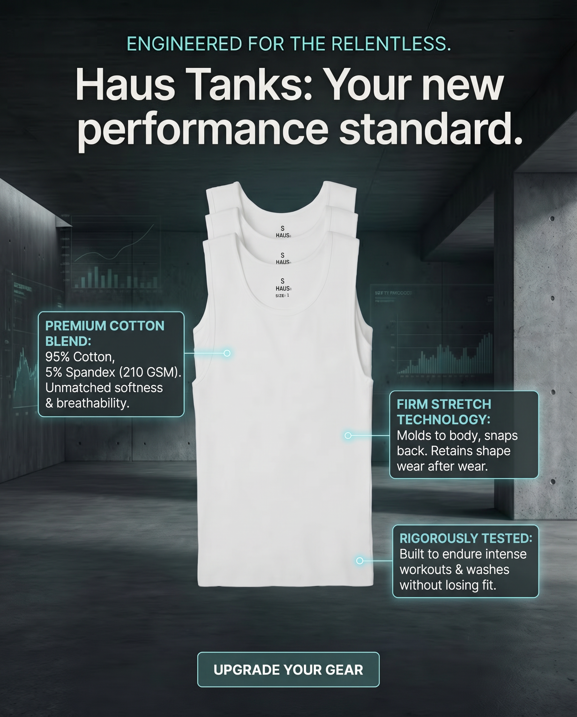 HAUS Facebook ad