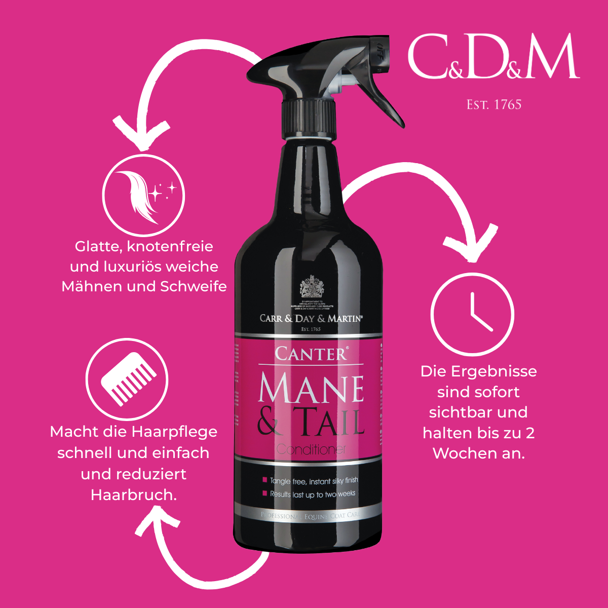 Carr & Day & Martin Facebook ad: Glatte & knotenfreie Mähne & Schweif in diesem…