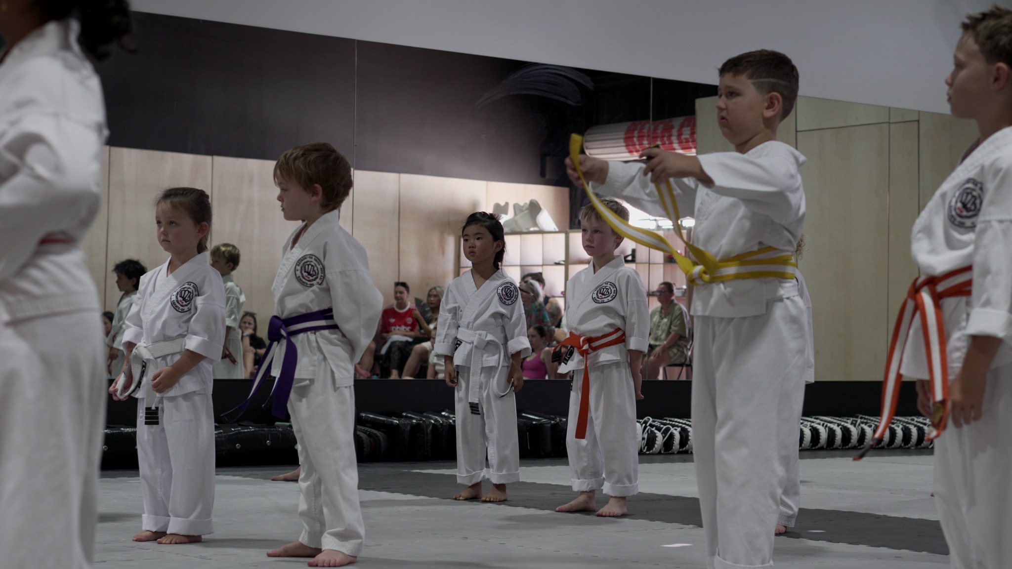 Karate Academy of Power - Hayashiha Queensland Facebook ad