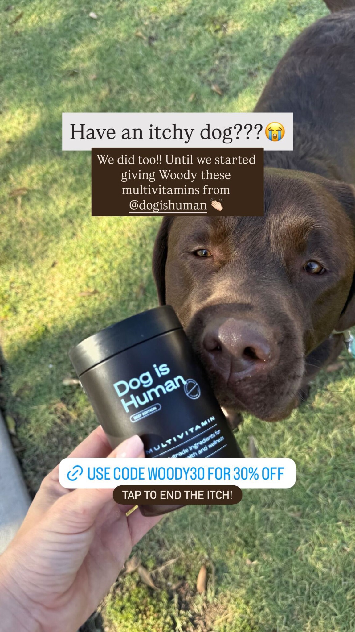 Dog is Human Facebook ad
